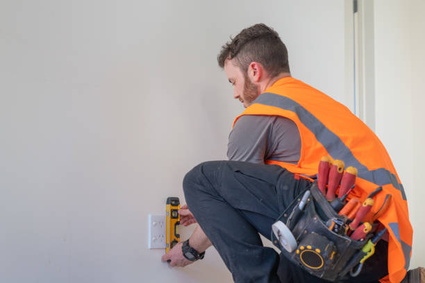 Best Electric Panel Repair  in Timberlake, VA